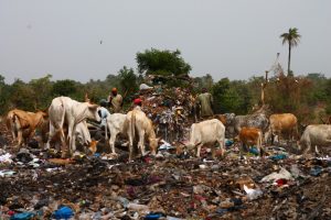 زباله‌های روستایی و روش‌های دفع بهداشتی آن‌ها